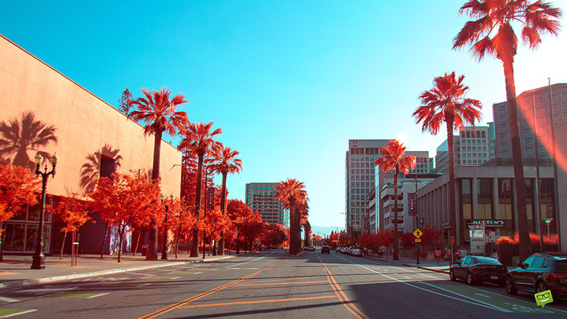 Best 22 California Instagram Captions for Your Sunshine State Pics