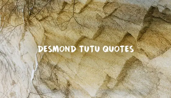 Desmond Tutu Quotes