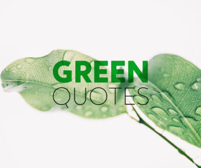 green-quotes-social