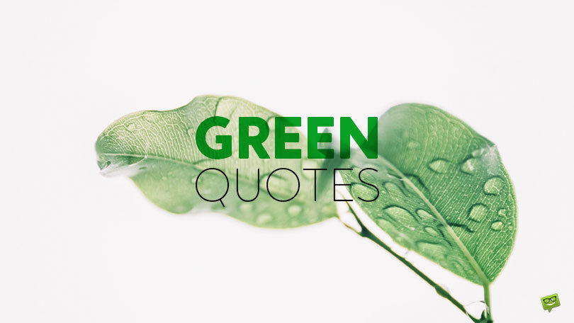 65 Green Quotes About the Color of Rebirth and Harmony