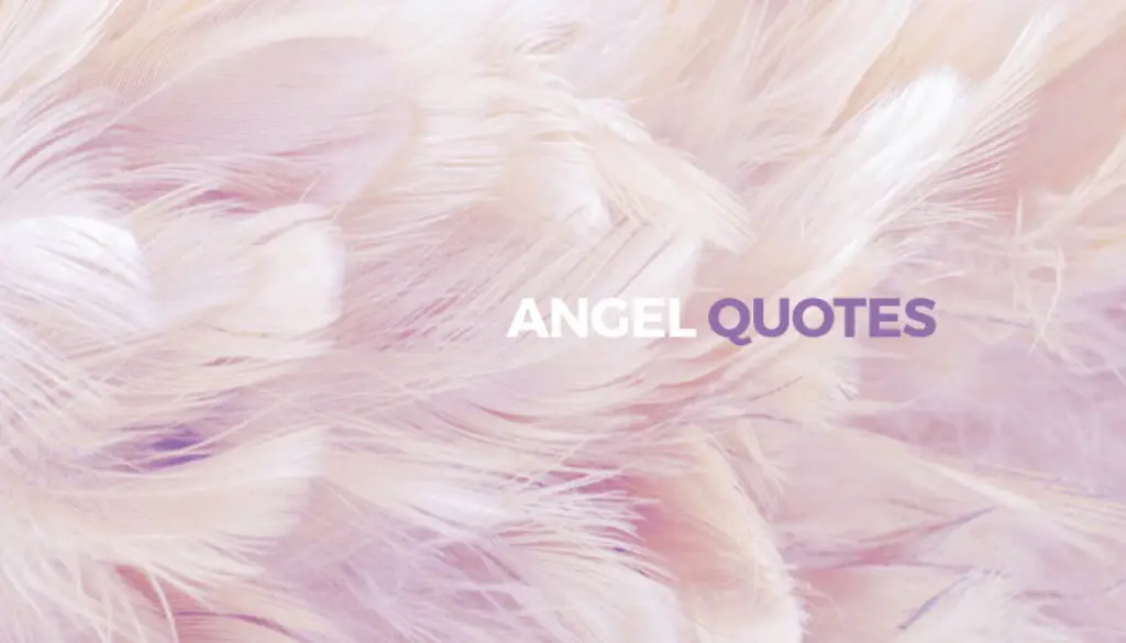 Angel-Quotes-SOCIAL