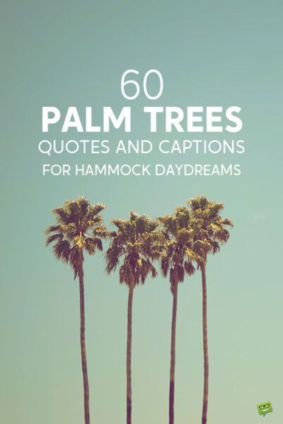 60 Palm Tree Quotes and Captions for Hammock Daydreams