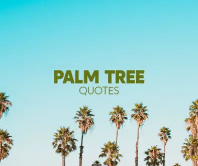 palm-tree-quotes-social