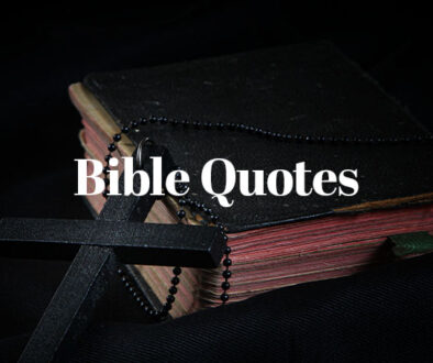 bible-quotes-social
