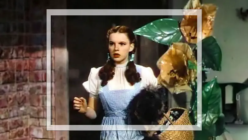 Dorothy Gale from the Wizard of Oz (AI generated only off-frame)